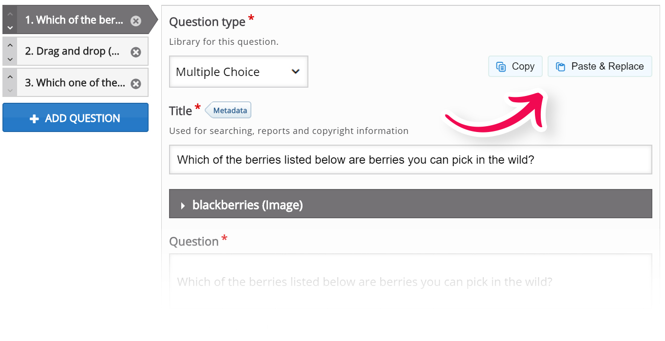 Copy/Paste buttons in a generic editor