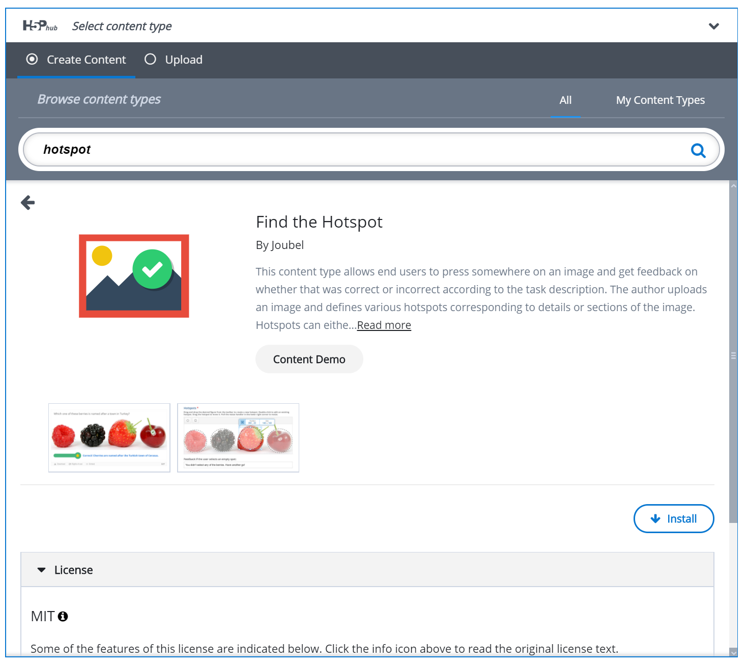 An image of the detailed content type view