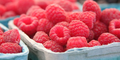 Red berries