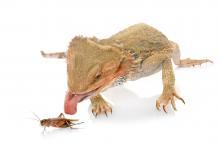 Marlon's picture