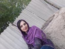 elmrzmh's picture